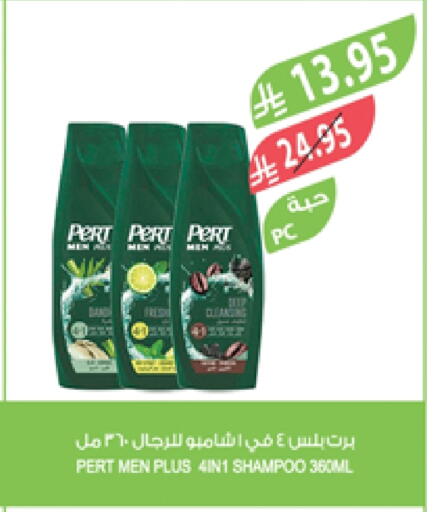 العناية بالشعر in المزرعة, المملكة العربية السعودية Offers - المملكة العربية السعودية بيرت بلس شامبو / بلسم available at المزرعة in مملكة العربية السعودية, السعودية, سعودية - عرعر