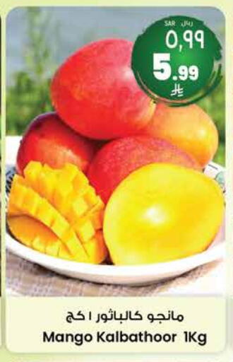 Fresh Fruits in City Flower, Saudi Arabia Offers - Saudi Arabia Mangoes available at City Flower in KSA, Saudi Arabia, Saudi - Riyadh