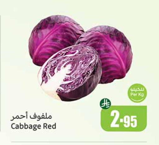 كرنب available at أسواق عبد الله العثيم in مملكة العربية السعودية, السعودية, سعودية - القنفذة