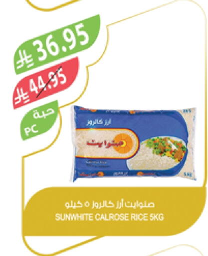 Rice in Farm , Saudi Arabia Offers - Saudi Arabia Calrose Rice available at Farm in KSA, Saudi Arabia, Saudi - Tabuk