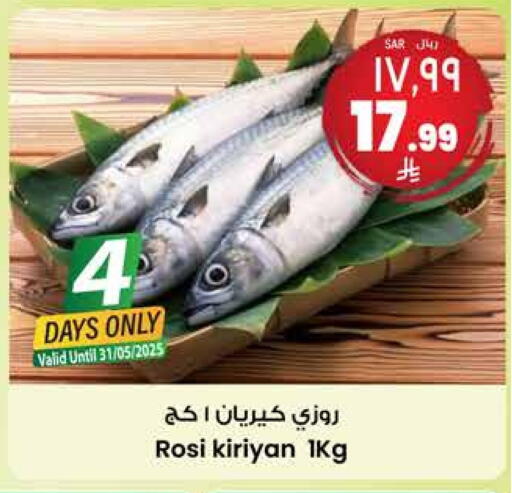 Fresh Fish in City Flower, Saudi Arabia Offers - Saudi Arabia available at City Flower in KSA, Saudi Arabia, Saudi - Sakaka