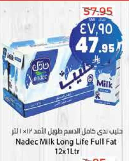 حليب و لبن in ستي فلاور, المملكة العربية السعودية Offers - المملكة العربية السعودية نادك حليب طويل الأمد available at ستي فلاور in مملكة العربية السعودية, السعودية, سعودية - حائل