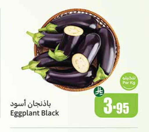 Eggplant available at أسواق عبد الله العثيم in مملكة العربية السعودية, السعودية, سعودية - القنفذة