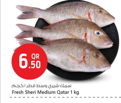 available at Safari Hypermarket in Qatar - Al Wakra