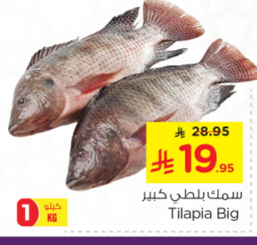 available at Nesto in KSA, Saudi Arabia, Saudi - Riyadh