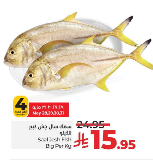 الأسماك الطازجة in لولو هايبرماركت, المملكة العربية السعودية Offers - المملكة العربية السعودية available at لولو هايبرماركت in مملكة العربية السعودية, السعودية, سعودية - خميس مشيط