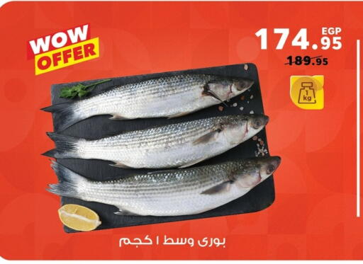 available at بنده in Egypt - القاهرة