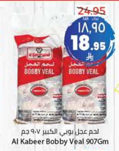 Frozen Meat in City Flower, Saudi Arabia Offers - Saudi Arabia available at City Flower in KSA, Saudi Arabia, Saudi - Riyadh
