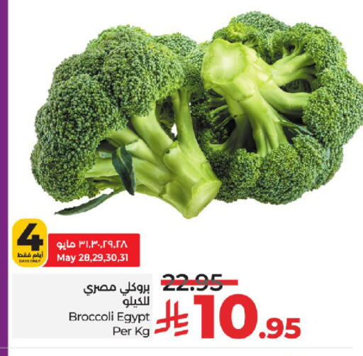 الخضروات الطازجة in لولو هايبرماركت, المملكة العربية السعودية Offers - المملكة العربية السعودية بروكلي from Egypt available at لولو هايبرماركت in مملكة العربية السعودية, السعودية, سعودية - خميس مشيط