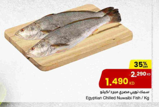 available at The Sultan Center in Kuwait - Ahmadi Governorate