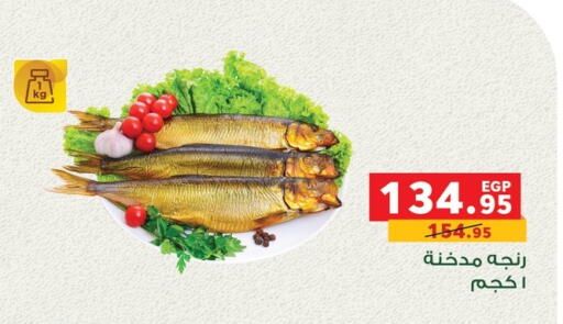 available at بنده in Egypt - القاهرة
