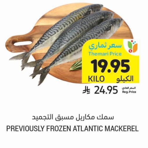الأسماك الطازجة in أسواق التميمي, المملكة العربية السعودية Offers - المملكة العربية السعودية available at أسواق التميمي in مملكة العربية السعودية, السعودية, سعودية - تبوك