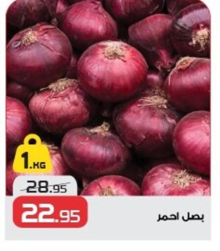Fresh Vegetables in Zahran Market, Egypt Offers - Egypt Onion available at Zahran Market in Egypt - Cairo