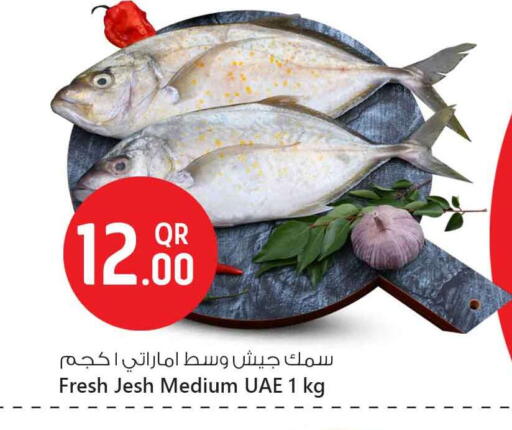 available at Safari Hypermarket in Qatar - Al Wakra