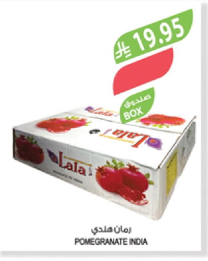 Pomegranate from India available at Farm  in KSA, Saudi Arabia, Saudi - Al Hasa