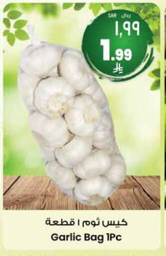 Garlic available at City Flower in KSA, Saudi Arabia, Saudi - Sakaka