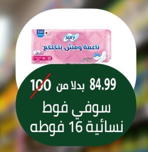 Feminine Hygiene in Al Duha Market, Egypt Offers - Egypt SOFY available at Al Duha Market in Egypt - Cairo