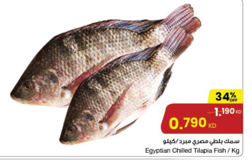 available at The Sultan Center in Kuwait - Ahmadi Governorate