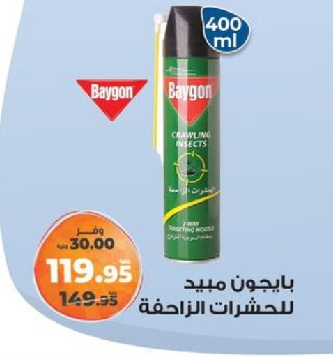 Insect Repellent in Kazyon , Egypt Offers - Egypt BAYGON available at Kazyon in Egypt - Cairo