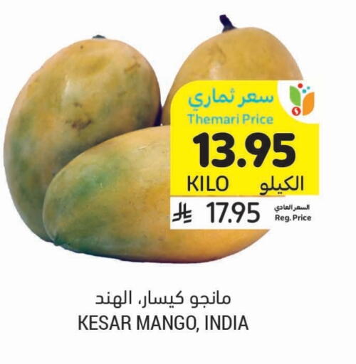 الأسماك الطازجة in أسواق التميمي, المملكة العربية السعودية Offers - المملكة العربية السعودية Mango available at أسواق التميمي in مملكة العربية السعودية, السعودية, سعودية - تبوك