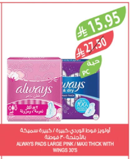 ALWAYS available at Farm  in KSA, Saudi Arabia, Saudi - Jazan