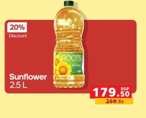 available at Panda  in Egypt - Cairo
