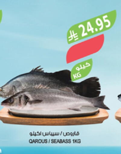 الأسماك الطازجة in المزرعة, المملكة العربية السعودية Offers - المملكة العربية السعودية available at المزرعة in مملكة العربية السعودية, السعودية, سعودية - عرعر