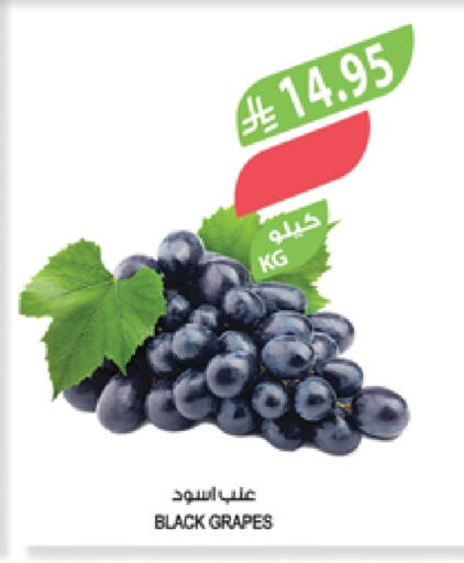 Grapes available at Farm  in KSA, Saudi Arabia, Saudi - Al Hasa