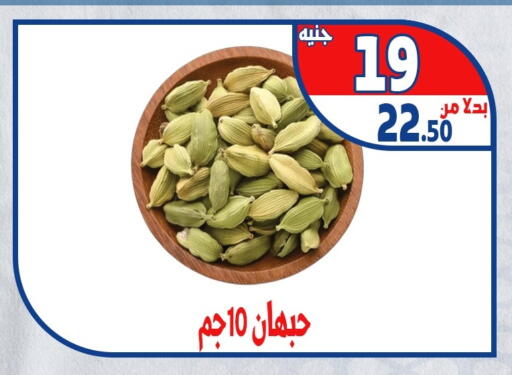 available at Bondok Market  in Egypt - Cairo