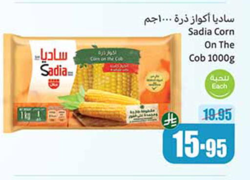 فواكه وخضار مجمدة in أسواق عبد الله العثيم, المملكة العربية السعودية Offers - المملكة العربية السعودية زيت الزنجبيل available at أسواق عبد الله العثيم in مملكة العربية السعودية, السعودية, سعودية - القنفذة