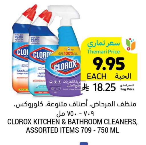 CLOROX Toilet / Drain Cleaner available at Tamimi Market in KSA, Saudi Arabia, Saudi - Jubail