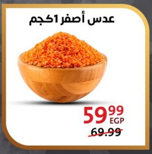 available at داون تاون العرب  in Egypt - القاهرة