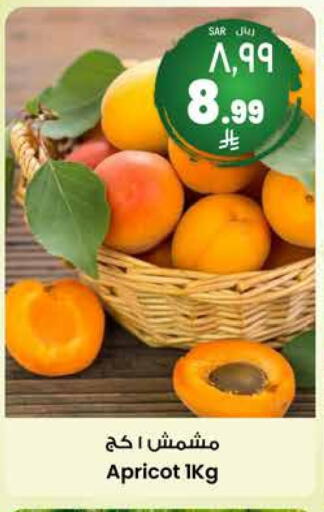 الفواكه المجففة و التمور in ستي فلاور, المملكة العربية السعودية Offers - المملكة العربية السعودية Apricot available at ستي فلاور in مملكة العربية السعودية, السعودية, سعودية - الدوادمي