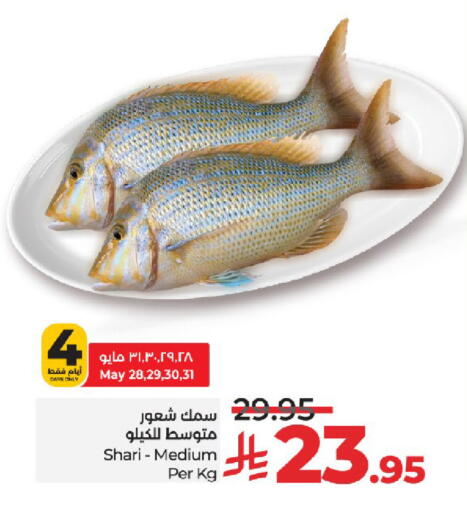 الأسماك الطازجة in لولو هايبرماركت, المملكة العربية السعودية Offers - المملكة العربية السعودية available at لولو هايبرماركت in مملكة العربية السعودية, السعودية, سعودية - خميس مشيط