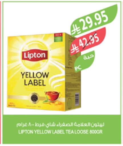 Lipton available at Farm  in KSA, Saudi Arabia, Saudi - Al Bahah