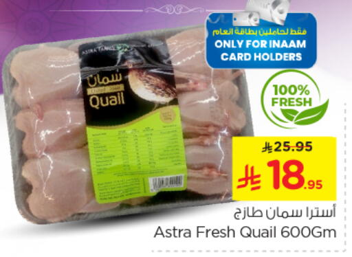 Fresh Whole Chicken available at Nesto in KSA, Saudi Arabia, Saudi - Al Majmaah