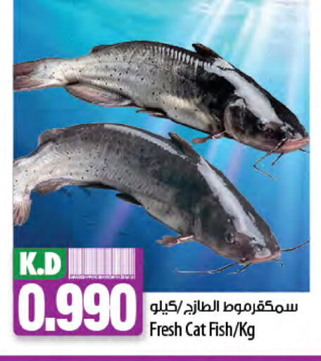 Mango available at Mango Hypermarket  in Kuwait - Ahmadi Governorate