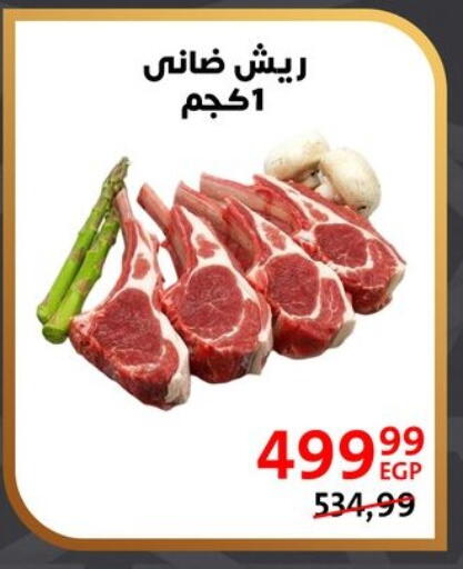 available at داون تاون العرب  in Egypt - القاهرة
