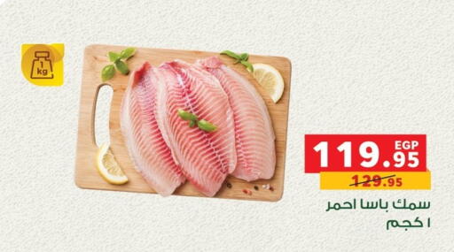 available at بنده in Egypt - القاهرة