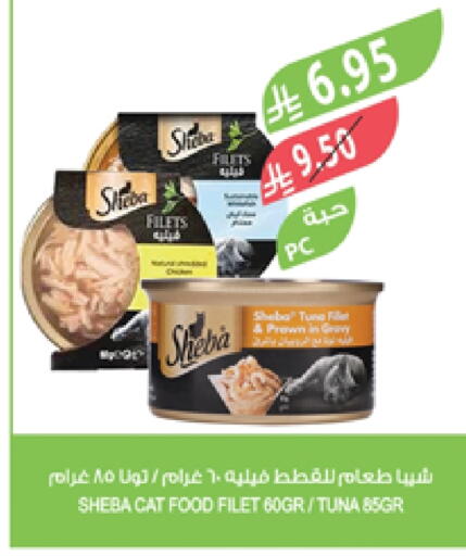 الحيوانات الأليفة in المزرعة, المملكة العربية السعودية Offers - المملكة العربية السعودية available at المزرعة in مملكة العربية السعودية, السعودية, سعودية - نجران