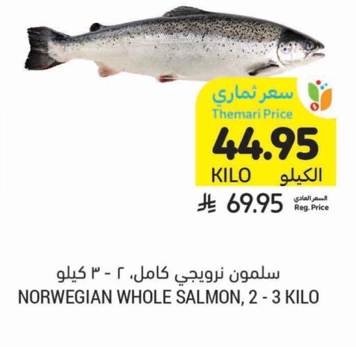 الأسماك الطازجة in أسواق التميمي, المملكة العربية السعودية Offers - المملكة العربية السعودية available at أسواق التميمي in مملكة العربية السعودية, السعودية, سعودية - تبوك