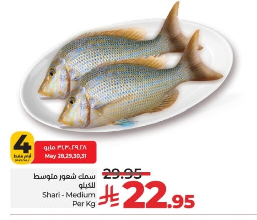 الأسماك الطازجة in لولو هايبرماركت, المملكة العربية السعودية Offers - المملكة العربية السعودية available at لولو هايبرماركت in مملكة العربية السعودية, السعودية, سعودية - خميس مشيط