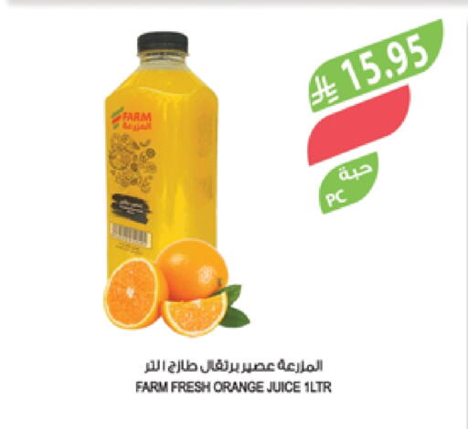 Orange available at المزرعة in مملكة العربية السعودية, السعودية, سعودية - تبوك