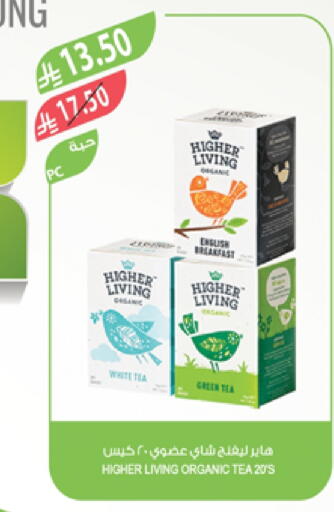 Green Tea available at Farm  in KSA, Saudi Arabia, Saudi - Al Bahah