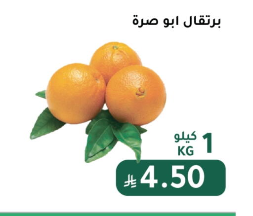 Orange available at AlHajri Food in KSA, Saudi Arabia, Saudi - Abha