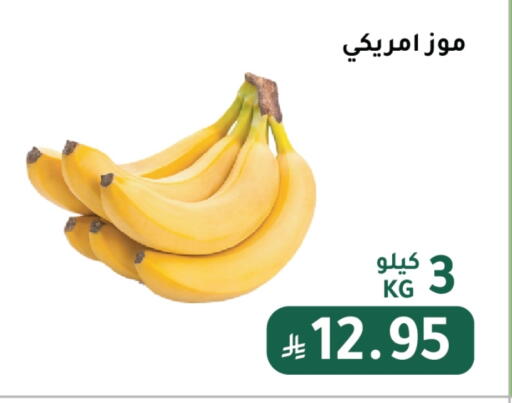 Banana available at AlHajri Food in KSA, Saudi Arabia, Saudi - Abha