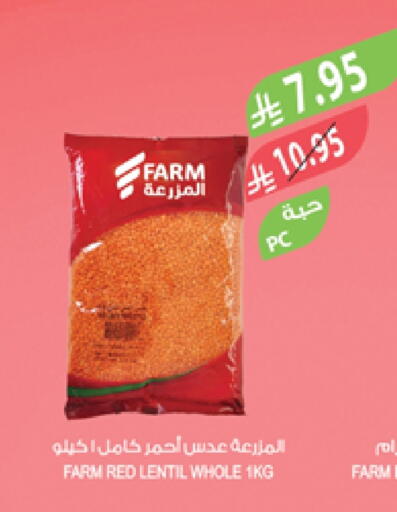 available at المزرعة in مملكة العربية السعودية, السعودية, سعودية - تبوك