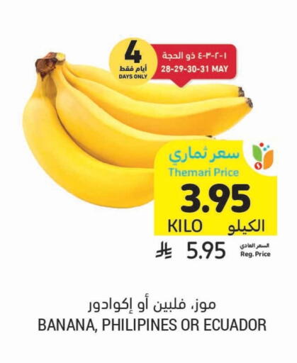 Banana available at Tamimi Market in KSA, Saudi Arabia, Saudi - Dammam