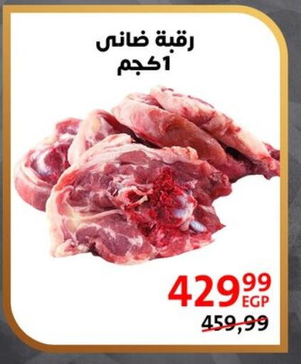available at داون تاون العرب  in Egypt - القاهرة