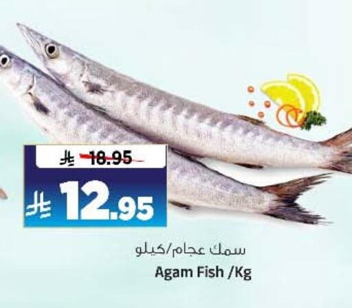 available at Al Madina Hypermarket in KSA, Saudi Arabia, Saudi - Riyadh